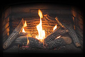 Tofino i20 gas fireplace insert Split Log Burner